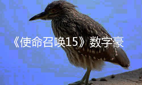版上命召唤1豪华元使数字商城 售加强架X价9
