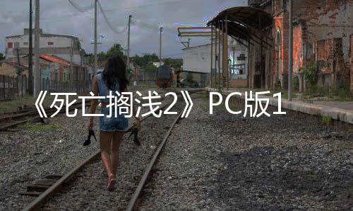 C版6补布 崩溃丁发多项性能修复亡搁优化死浅2