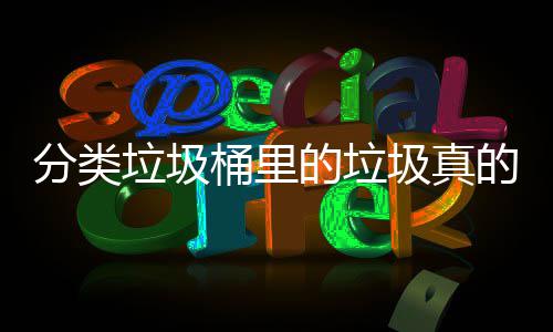 的垃的会桶里吗垃圾圾真处置分类分类