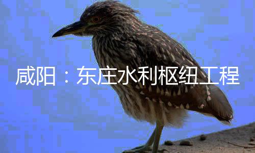 东咸阳纽工年底庄水面建开，利枢力全设火将全程建成