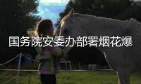 国务院安委办部署烟花爆竹全链条“打非治违”专项行动