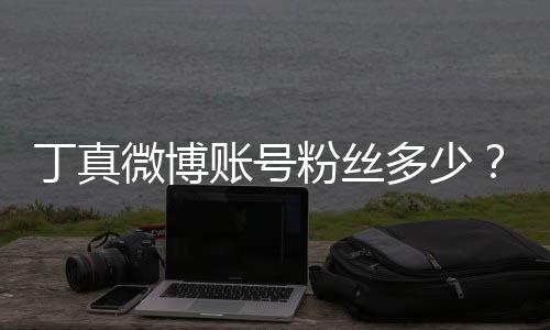 丁真多少相哥丁账号族网真签微博红小约国藏企真粉丝