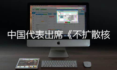 不代表第十大会中国中方主张扩散核武约一次审议出席阐述器条