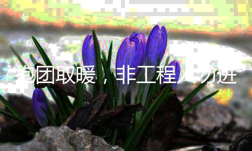 抱团工程人勿进取暖，非