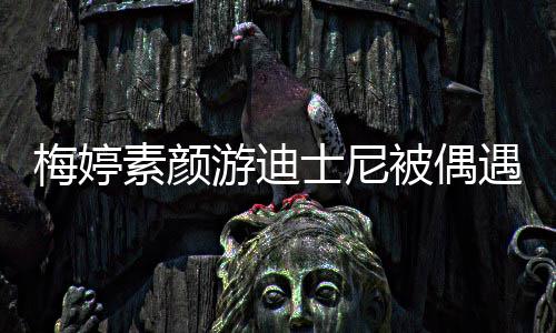 被偶低调梅婷排队游迪遇 一家素颜士尼四口接地气