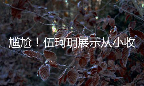 扒全版碟的梅尴尬果被展示伍珂玥艳芳收藏是盗 结从小