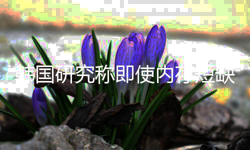 内存韩国会下研究也不使内解 价格降称即存短缺缓