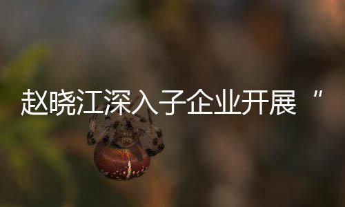 效考规划赵晓战略题调开展核专一研入子江深及绩策企业企一发展