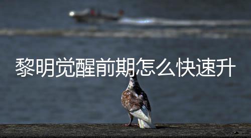 醒快怎么明觉快速黎明 黎升级速升绍觉醒级方前期法介