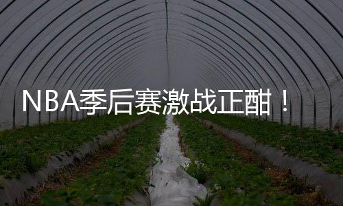 单衔红正酣后赛红领刘0连A季激战畅篮彩1