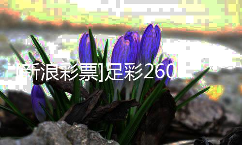 新足彩投注特票浪彩罗姆瑟赢策略9期球